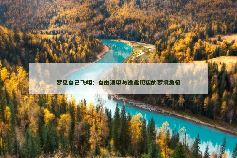梦见自己飞翔:自由渴望与逃避现实的梦境象征 梦见自己飞翔:自由渴望与逃避现实的梦境象征