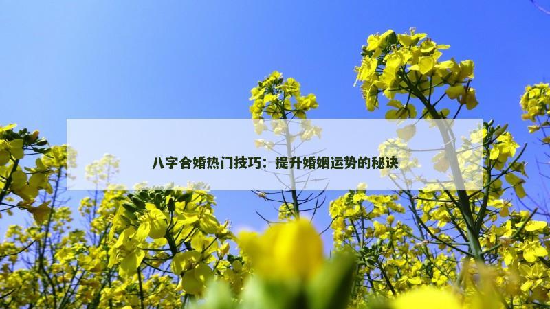 八字合婚热门技巧:提升婚姻运势的秘诀 八字合婚热门技巧:提升婚姻运势的秘诀
