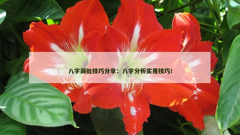 八字简批技巧分享:八字分析实用技巧! 八字简批技巧分享:八字分析实用技巧!