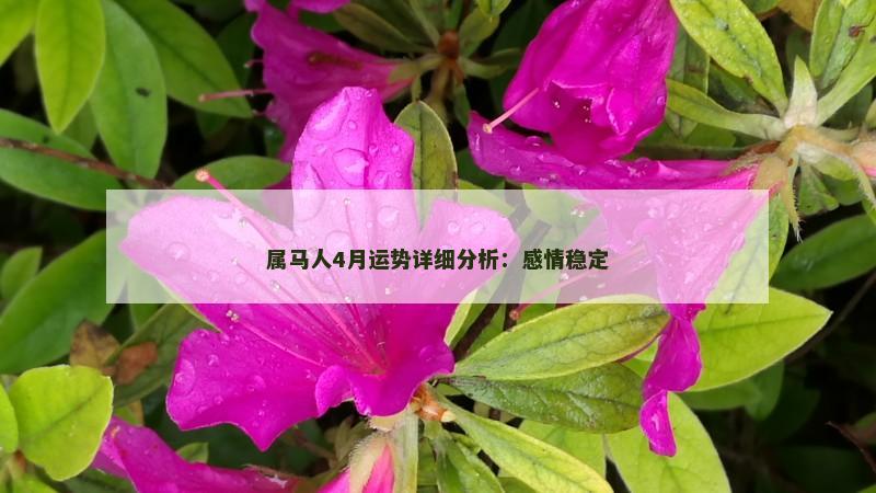 属马人4月运势详细分析:感情稳定 属马人4月运势详细分析:感情稳定