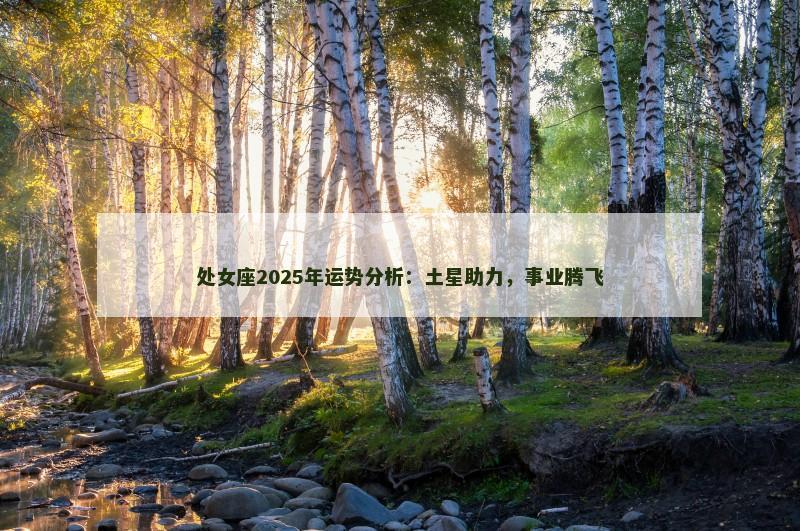 处女座2025年运势分析:土星助力,事业腾飞 处女座2025年运势分析:土星助力,事业腾飞