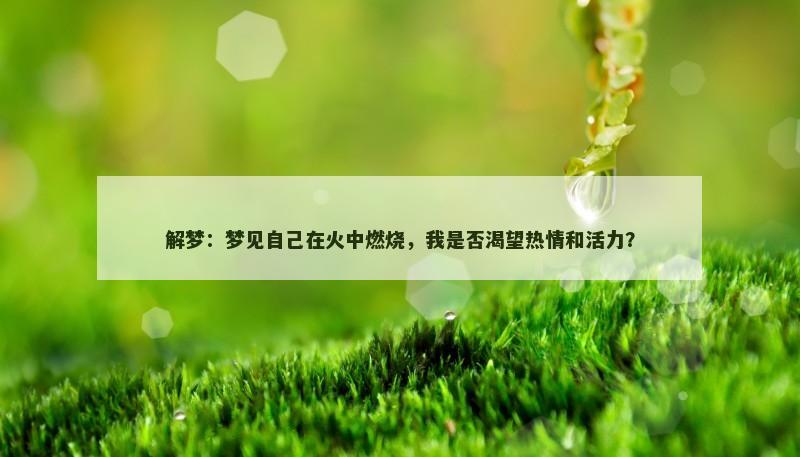 解梦:梦见自己在火中燃烧,我是否渴望热情和活力? 解梦:梦见自己在火中燃烧,我是否渴望热情和活力?