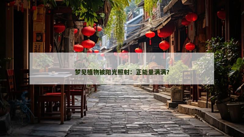 梦见植物被阳光照射:正能量满满? 梦见植物被阳光照射:正能量满满?