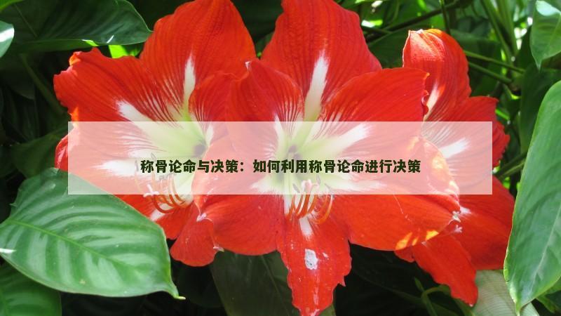 称骨论命与决策:如何利用称骨论命进行决策 称骨论命与决策:如何利用称骨论命进行决策