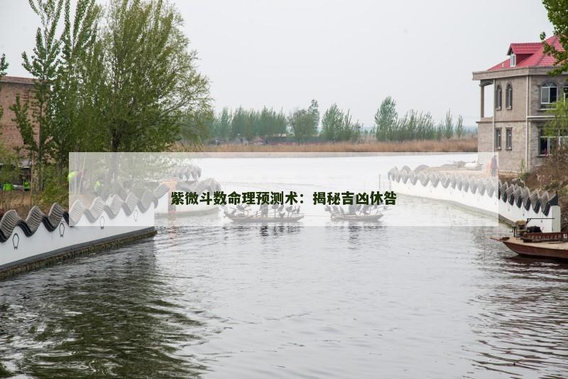 紫微斗数命理预测术:揭秘吉凶休咎 紫微斗数命理预测术:揭秘吉凶休咎