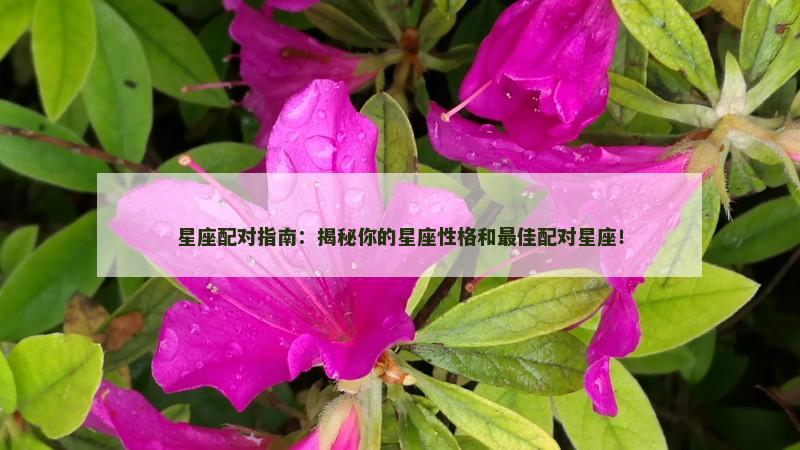 星座配对指南:揭秘你的星座性格和最佳配对星座! 星座配对指南:揭秘你的星座性格和最佳配对星座!