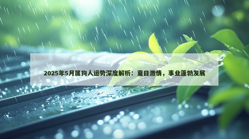 2025年5月属狗人运势深度解析:夏日激情,事业蓬勃发展 2025年5月属狗人运势深度解析:夏日激情,事业蓬勃发展