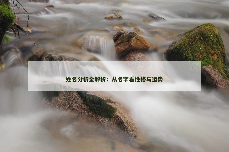 姓名分析全解析:从名字看性格与运势 姓名分析全解析:从名字看性格与运势
