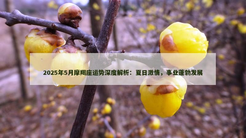 2025年5月摩羯座运势深度解析:夏日激情,事业蓬勃发展 2025年5月摩羯座运势深度解析:夏日激情,事业蓬勃发展