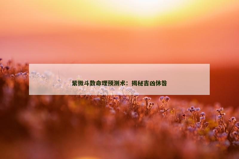 紫微斗数命理预测术:揭秘吉凶休咎 紫微斗数命理预测术:揭秘吉凶休咎