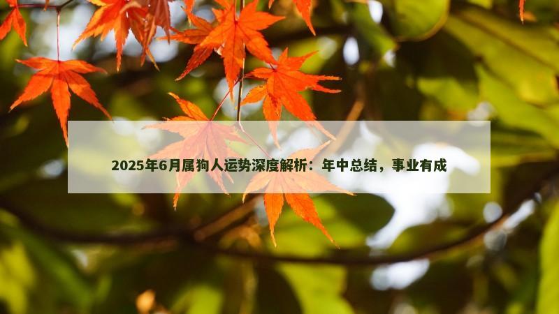 2025年6月属狗人运势深度解析:年中总结,事业有成 2025年6月属狗人运势深度解析:年中总结,事业有成