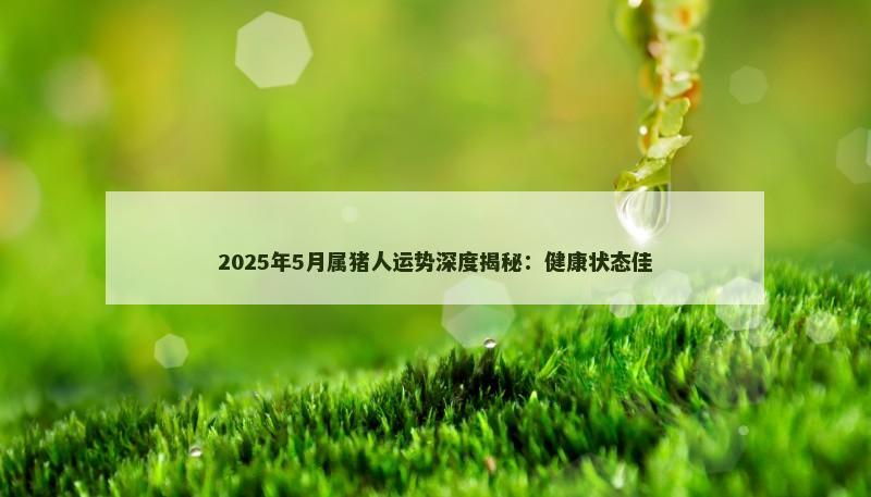 2025年5月属猪人运势深度揭秘:健康状态佳 2025年5月属猪人运势深度揭秘:健康状态佳