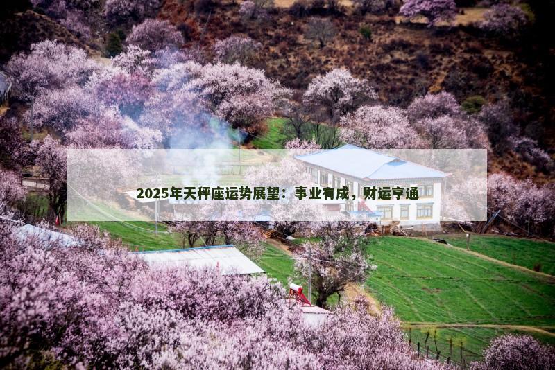 2025年天秤座运势展望:事业有成,财运亨通 2025年天秤座运势展望:事业有成,财运亨通