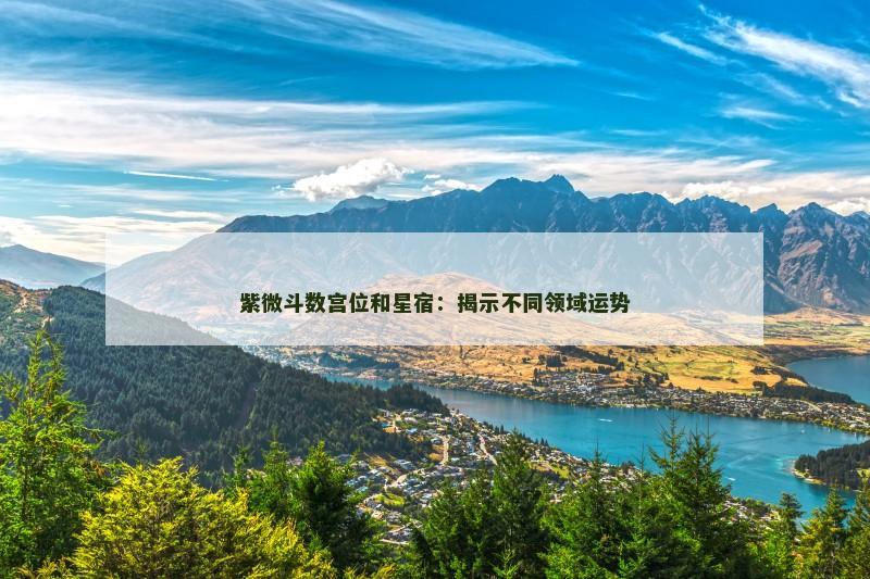 紫微斗数宫位和星宿:揭示不同领域运势 紫微斗数宫位和星宿:揭示不同领域运势