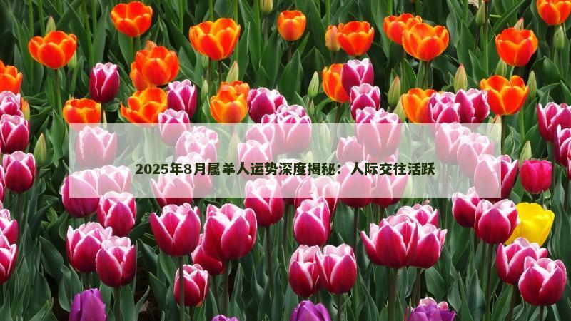 2025年8月属羊人运势深度揭秘:人际交往活跃 2025年8月属羊人运势深度揭秘:人际交往活跃