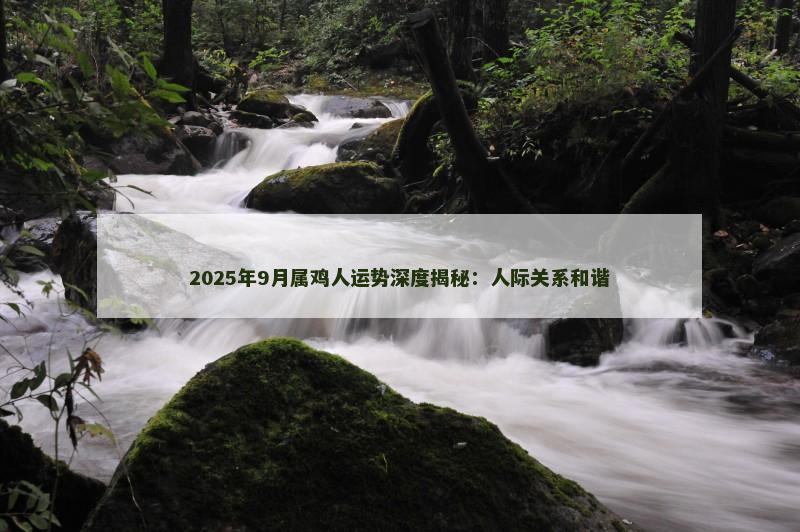 2025年9月属鸡人运势深度揭秘：人际关系和谐