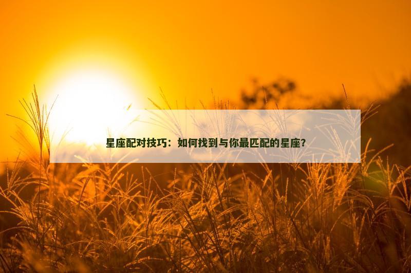 星座配对技巧:如何找到与你最匹配的星座? 星座配对技巧:如何找到与你最匹配的星座?