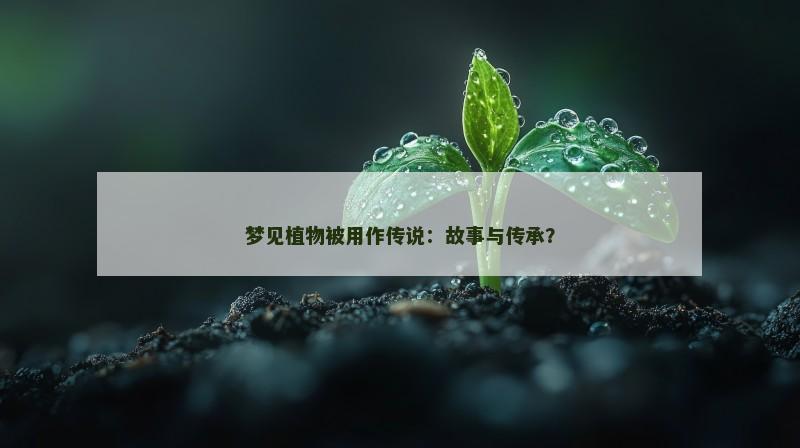 梦见植物被用作传说:故事与传承? 梦见植物被用作传说:故事与传承?
