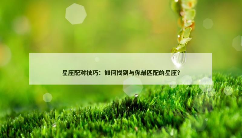 星座配对技巧:如何找到与你最匹配的星座? 星座配对技巧:如何找到与你最匹配的星座?