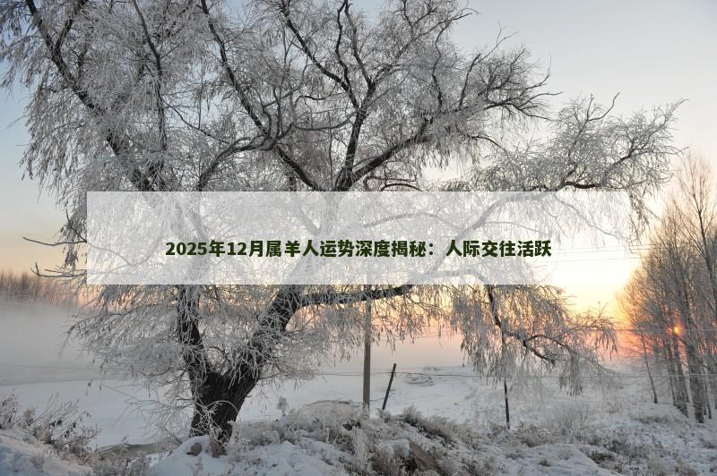 2025年12月属羊人运势深度揭秘：人际交往活跃