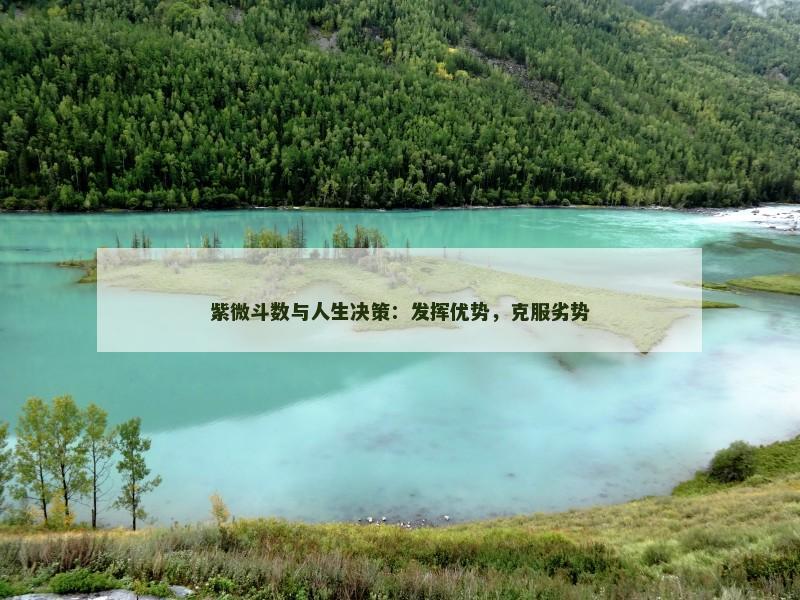 紫微斗数与人生决策:发挥优势,克服劣势 紫微斗数与人生决策:发挥优势,克服劣势