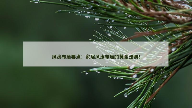 风水布局要点:家居风水布局的黄金法则! 风水布局要点:家居风水布局的黄金法则!