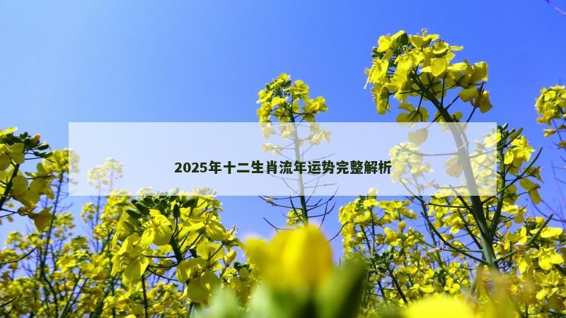 2025年十二生肖流年运势完整解析 2025年十二生肖流年运势完整解析