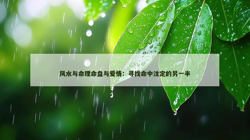 风水与命理命盘与爱情:寻找命中注定的另一半 风水与命理命盘与爱情:寻找命中注定的另一半
