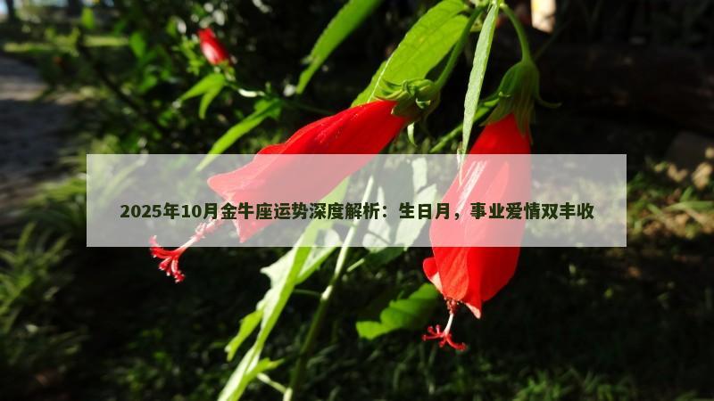 2025年10月金牛座运势深度解析:生日月,事业爱情双丰收 2025年10月金牛座运势深度解析:生日月,事业爱情双丰收