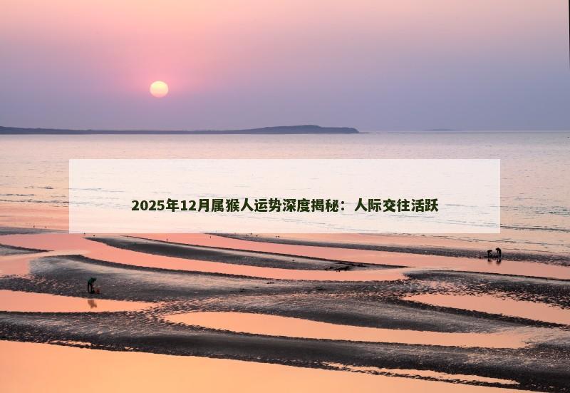 2025年12月属猴人运势深度揭秘：人际交往活跃