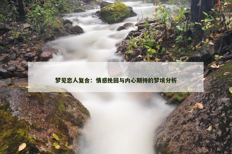 梦见恋人复合:情感挽回与内心期待的梦境分析 梦见恋人复合:情感挽回与内心期待的梦境分析