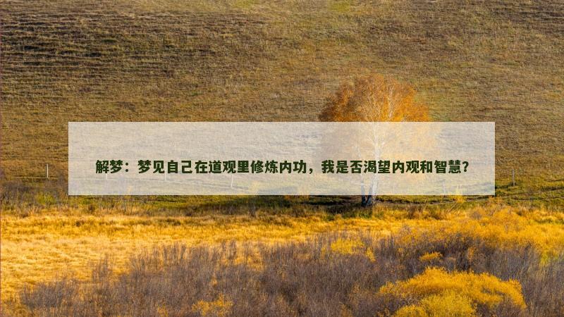 解梦:梦见自己在道观里修炼内功,我是否渴望内观和智慧? 解梦:梦见自己在道观里修炼内功,我是否渴望内观和智慧?
