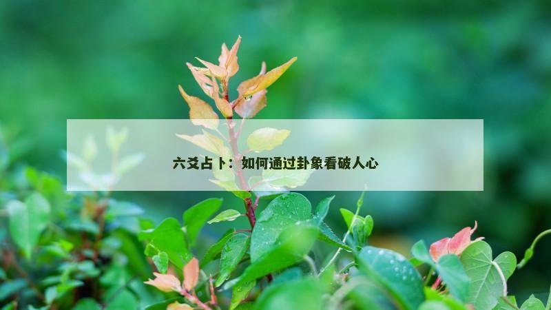 六爻占卜:如何通过卦象看破人心 六爻占卜:如何通过卦象看破人心