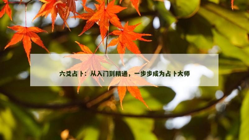 六爻占卜:从入门到精通,一步步成为占卜大师 六爻占卜:从入门到精通,一步步成为占卜大师