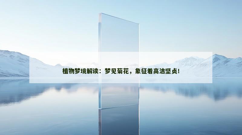 植物梦境解读:梦见菊花,象征着高洁坚贞! 植物梦境解读:梦见菊花,象征着高洁坚贞!