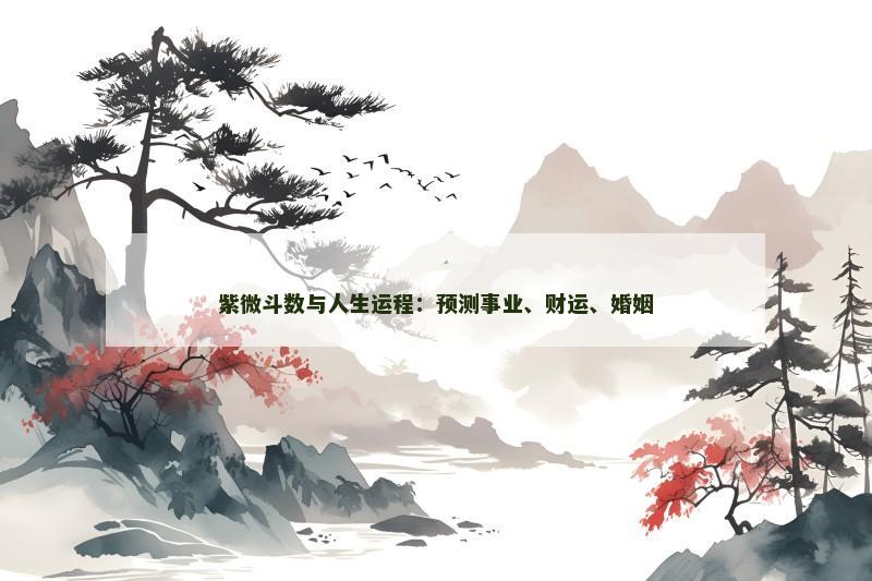 紫微斗数与人生运程:预测事业、财运、婚姻 紫微斗数与人生运程:预测事业、财运、婚姻