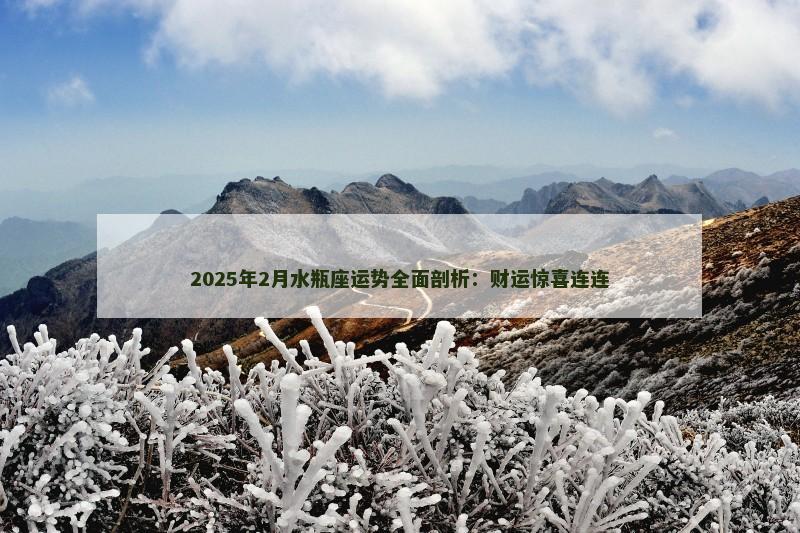 2025年2月水瓶座运势全面剖析:财运惊喜连连 2025年2月水瓶座运势全面剖析:财运惊喜连连