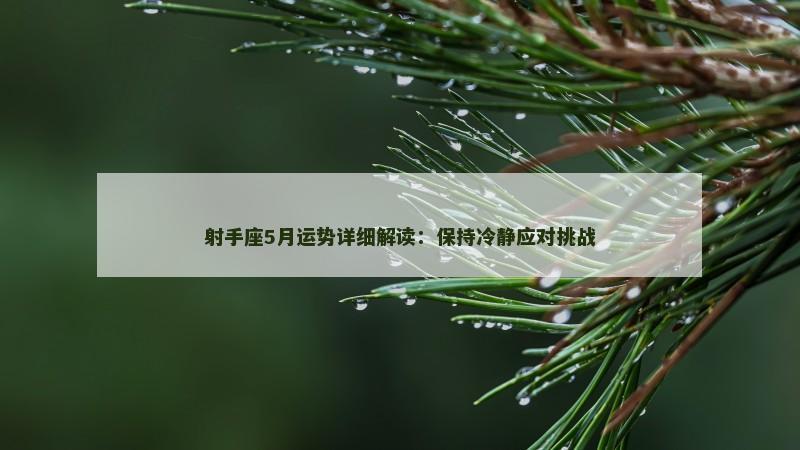 射手座5月运势详细解读：保持冷静应对挑战