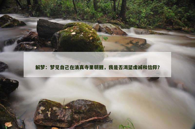 解梦:梦见自己在清真寺里朝觐,我是否渴望虔诚和信仰? 解梦:梦见自己在清真寺里朝觐,我是否渴望虔诚和信仰?