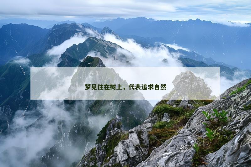 梦见住在树上,代表追求自然 梦见住在树上,代表追求自然