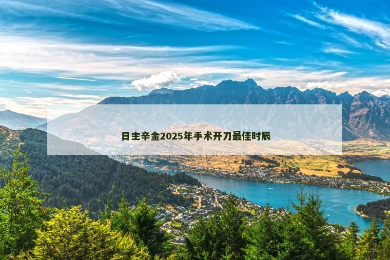 日主辛金2025年手术开刀最佳时辰 日主辛金2025年手术开刀最佳时辰