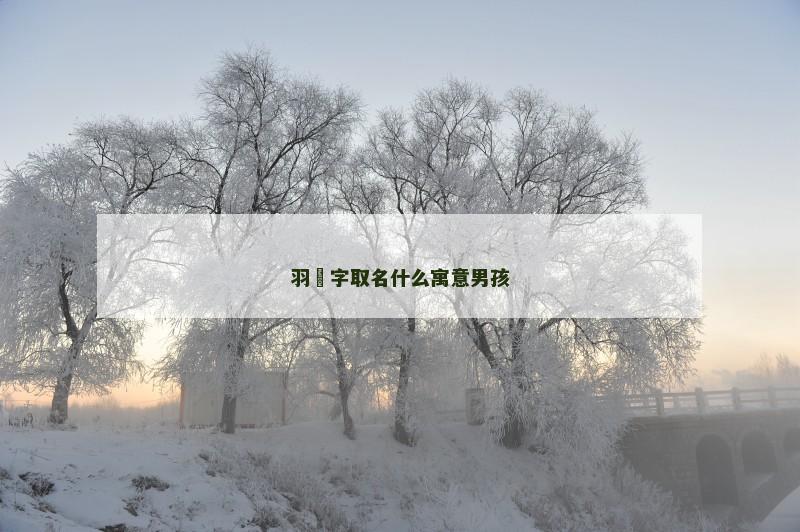羽燊字取名什么寓意男孩 羽燊字取名什么寓意男孩