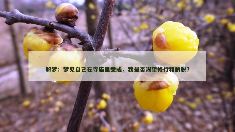 解梦:梦见自己在寺庙里受戒,我是否渴望修行和解脱? 解梦:梦见自己在寺庙里受戒,我是否渴望修行和解脱?