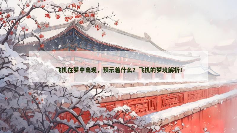 飞机在梦中出现,预示着什么?飞机的梦境解析! 飞机在梦中出现,预示着什么?飞机的梦境解析!