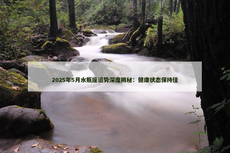 2025年5月水瓶座运势深度揭秘：健康状态保持佳