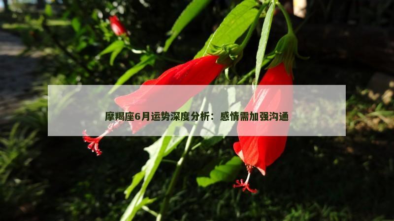 摩羯座6月运势深度分析：感情需加强沟通
