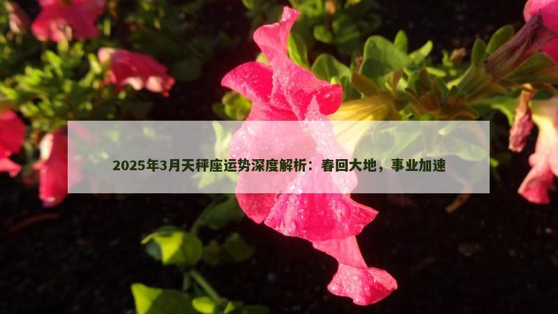 2025年3月天秤座运势深度解析:春回大地,事业加速 2025年3月天秤座运势深度解析:春回大地,事业加速