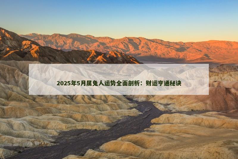 2025年5月属兔人运势全面剖析：财运亨通秘诀