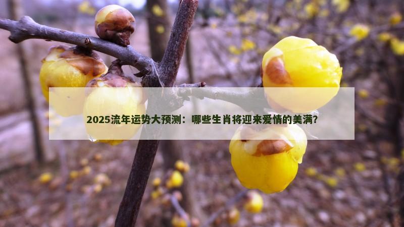 2025流年运势大预测:哪些生肖将迎来爱情的美满? 2025流年运势大预测:哪些生肖将迎来爱情的美满?