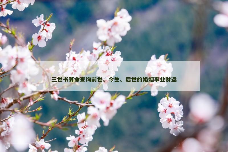 三世书算命查询前世、今生、后世的婚姻事业财运 三世书算命查询前世、今生、后世的婚姻事业财运